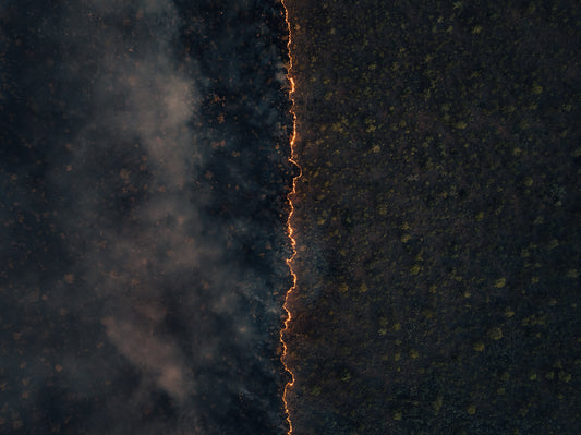 Getty Images a empresas: contra el greenhushing, muestren sostenibilidad real
